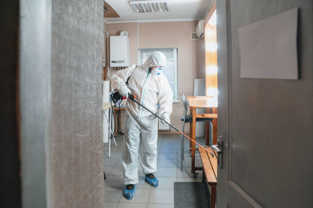 Best Emergency Mold Remediation  in Sardis City, AL